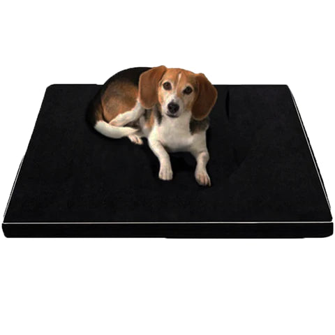 Choosing the Right Orthopaedic Dog Bed for Your Senior Companion