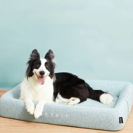 The Science Behind Orthopaedic Dog Beds: A Closer Look
