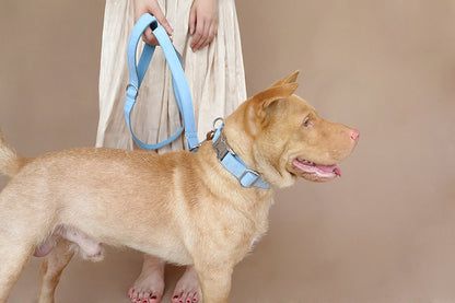 CuddlePupz Smooth Dog Collar & Lead