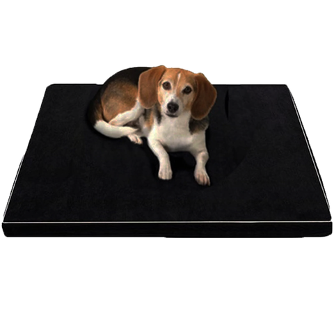 CuddlePupz Orthopaedic Memory Foam Dog Bed