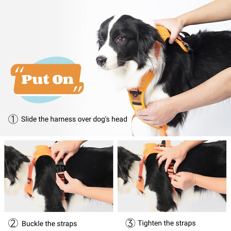 CuddlePupz All in One Dog Harness & Lead